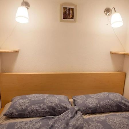 Gemuetliches 2P-Apartment In Ruhiger Lage Dresda Esterno foto